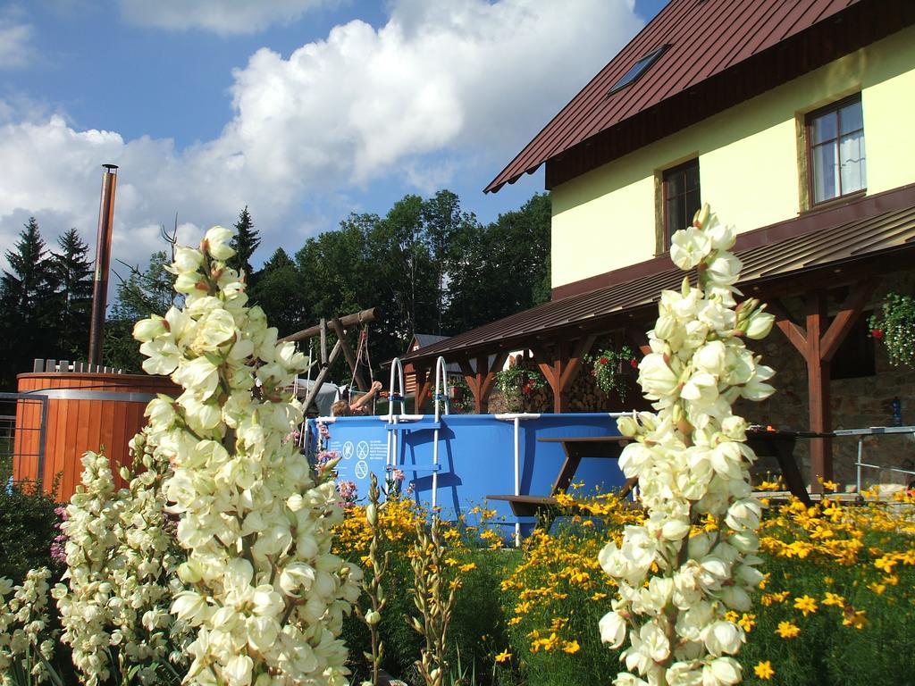 Apartmán Večerník Rokytnice *