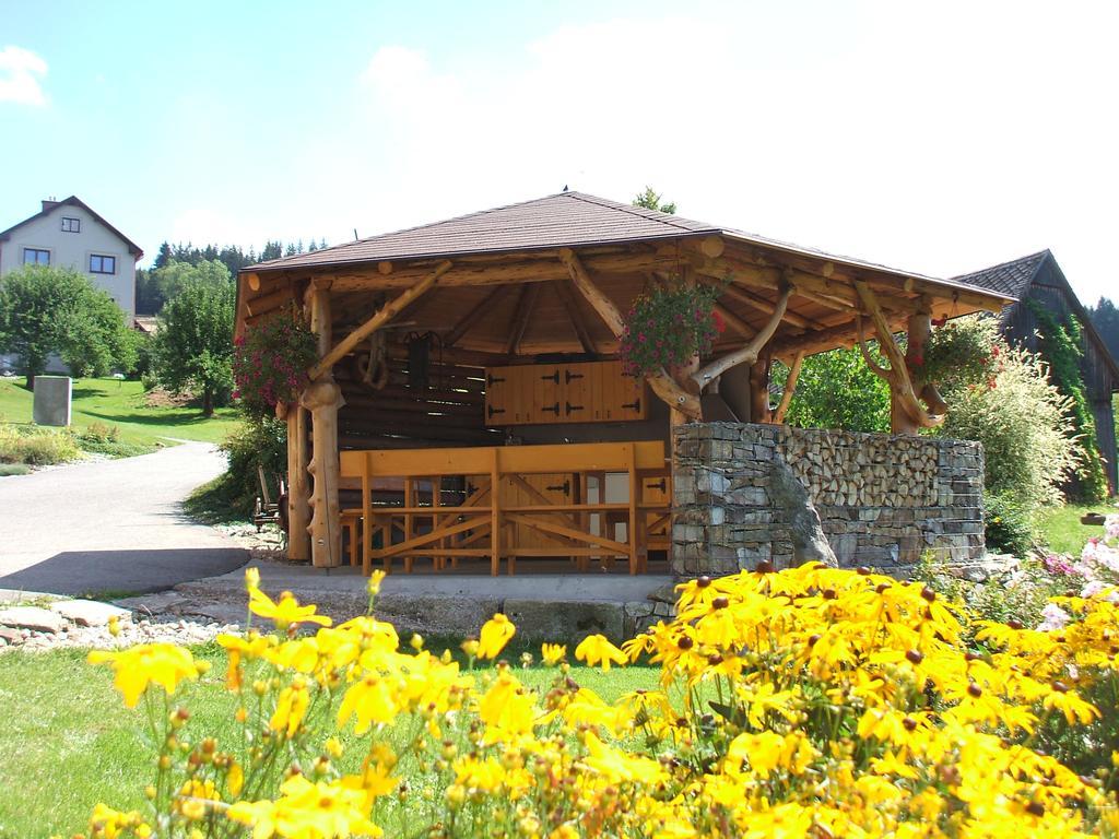 Vecernik Rokytnice *