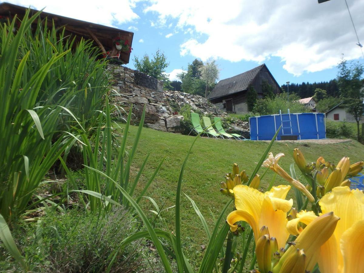 Vecernik Rokytnice Apartment *