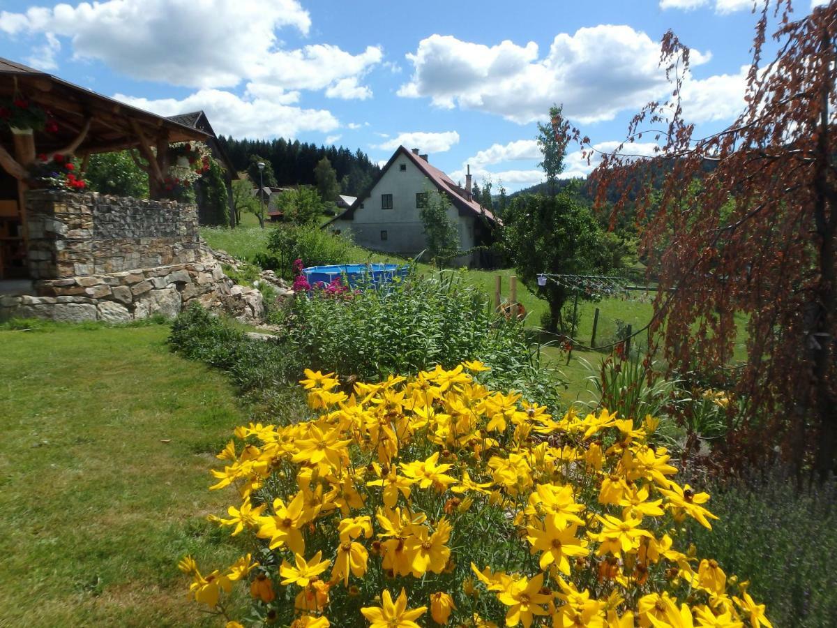 Appartement Vecernik Rokytnice
