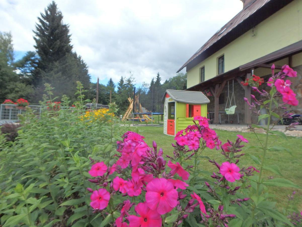 Apartment Vecernik Rokytnice *
