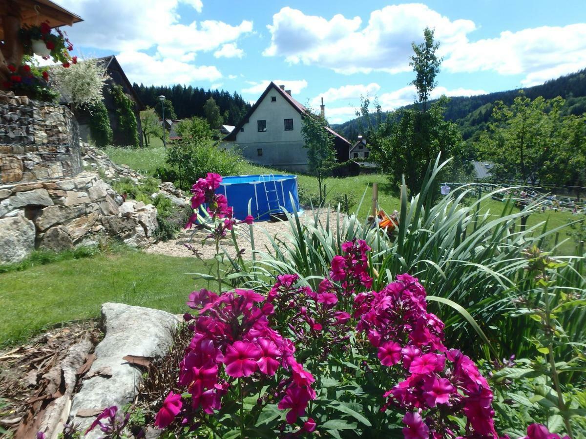 Apartment Vecernik Rokytnice